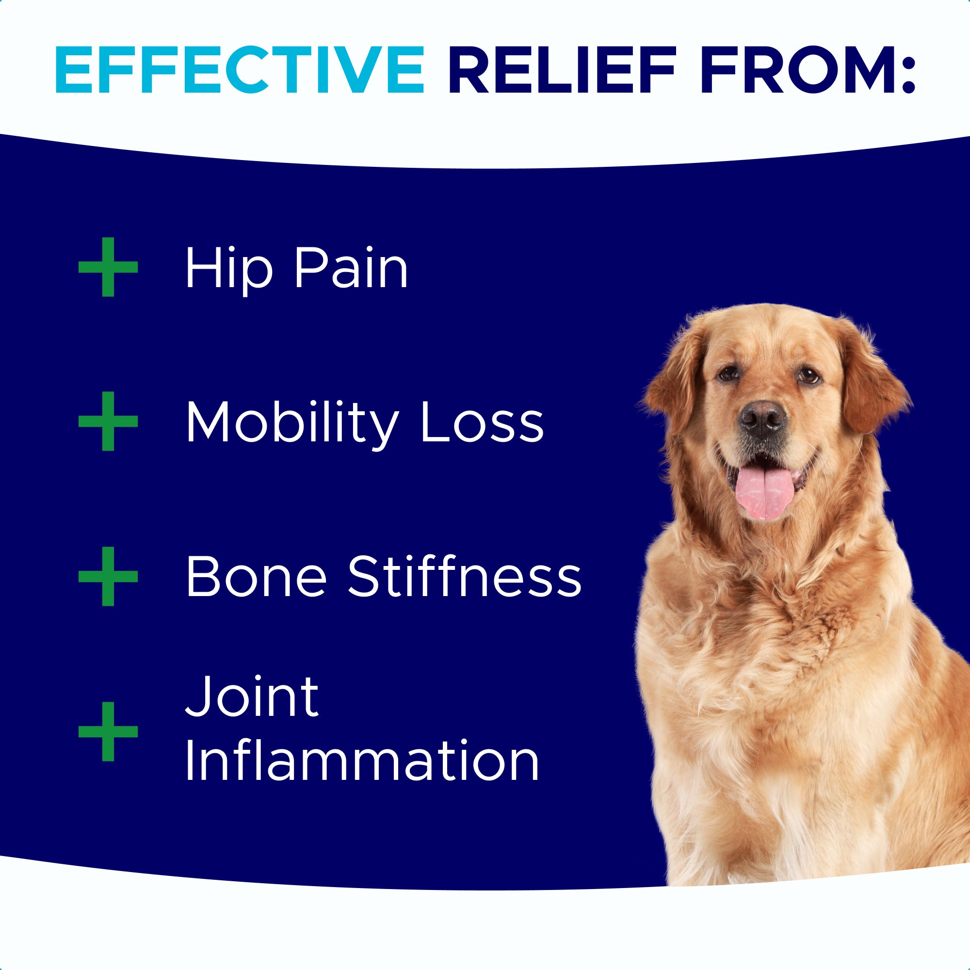Mobility Glucosamine Treats for Dogs - Advanced Hip & Joint Supplement