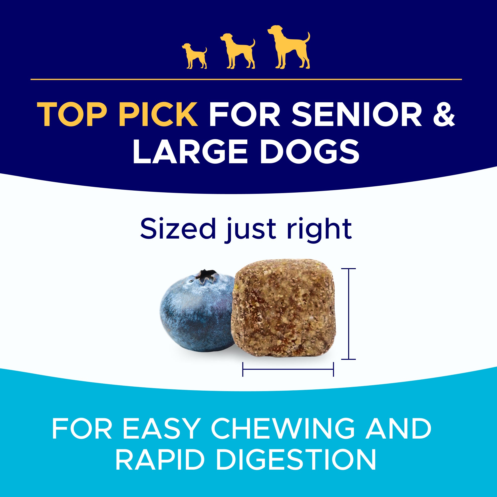 Mobility Glucosamine Treats for Dogs - Advanced Hip & Joint Supplement