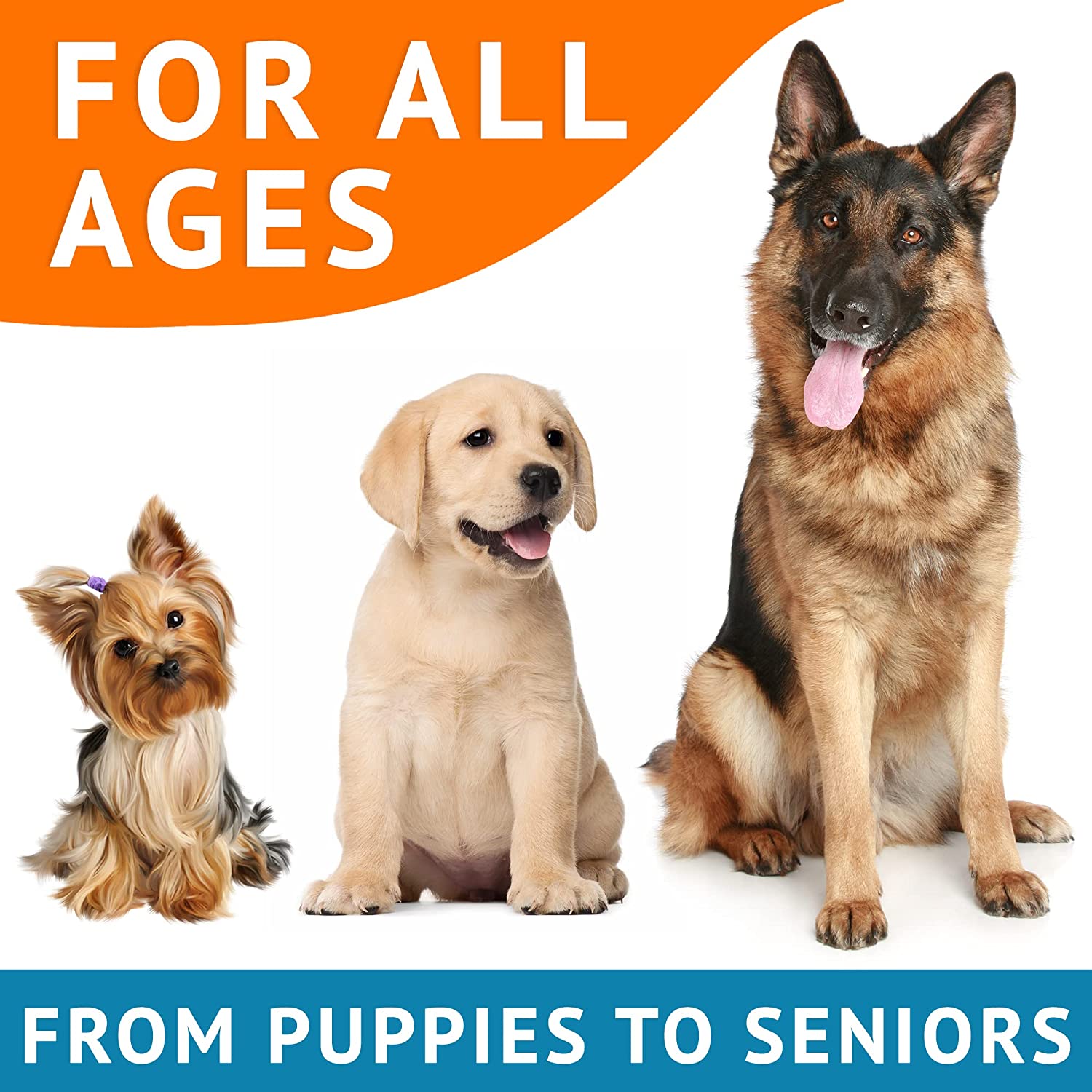 Grass Restore Treats