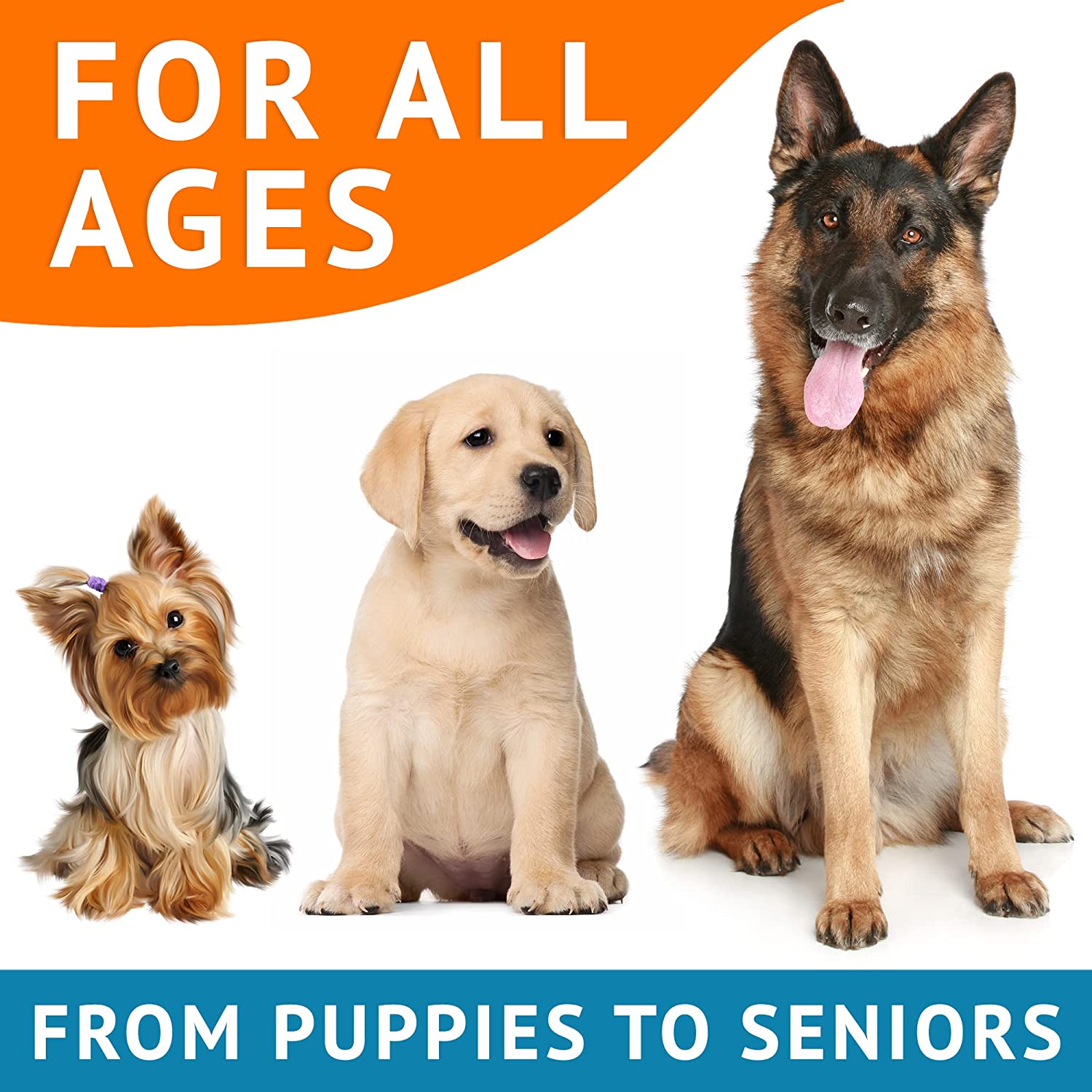 Omega 3 Skin&Coat Health Treats