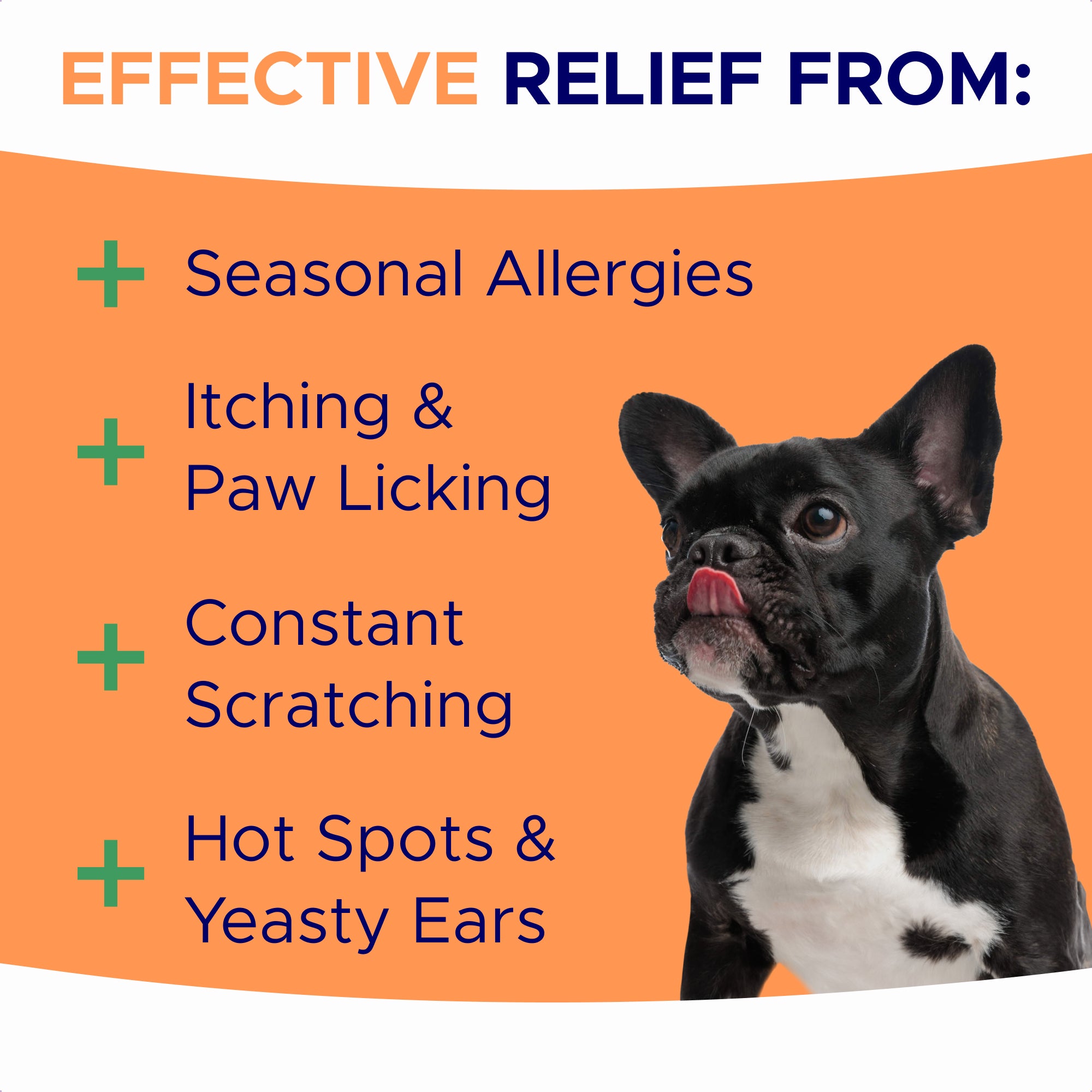 Dog Allergy Relief Chews — Anti-Itch Skin & Coat Supplement