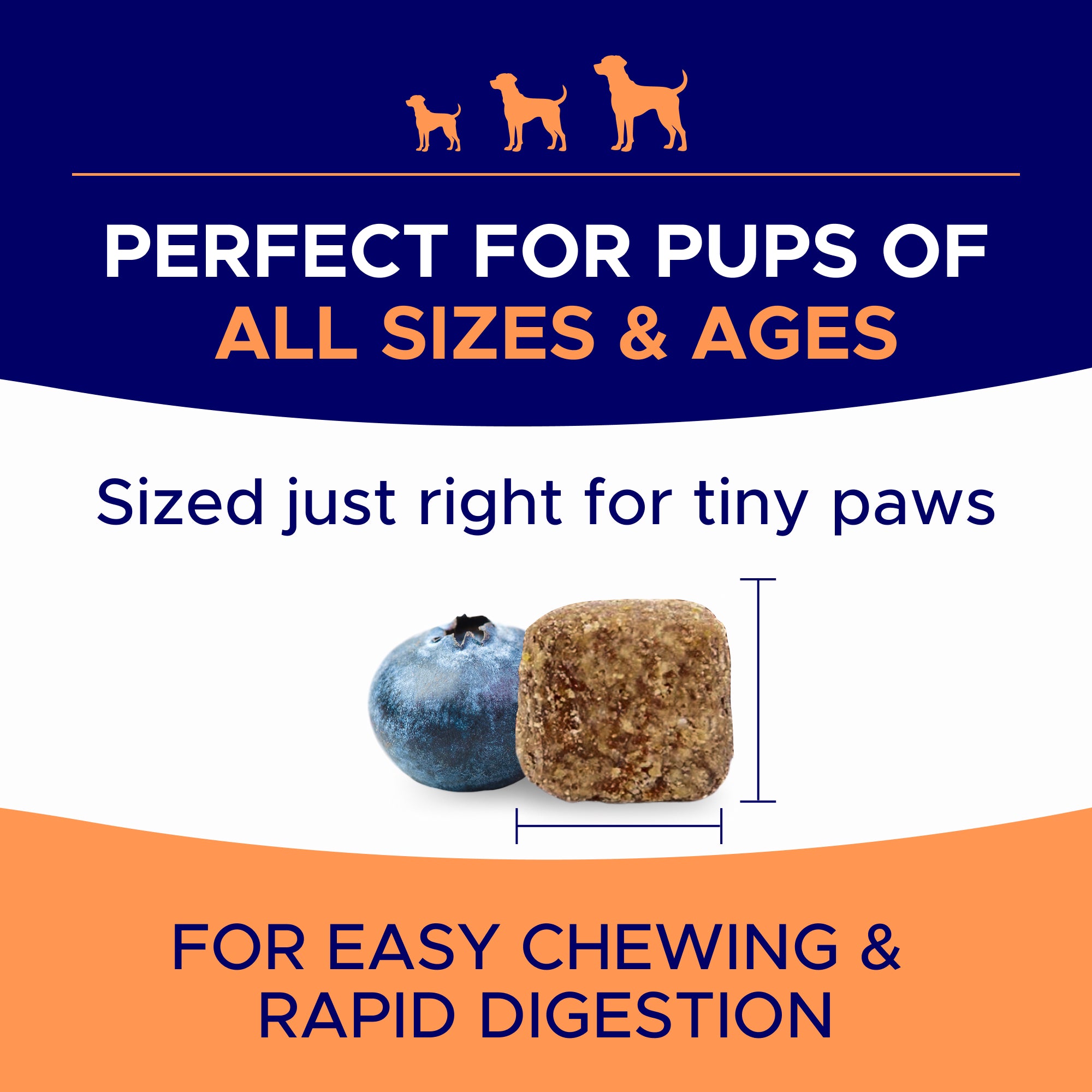 Dog Allergy Relief Chews — Anti-Itch Skin & Coat Supplement