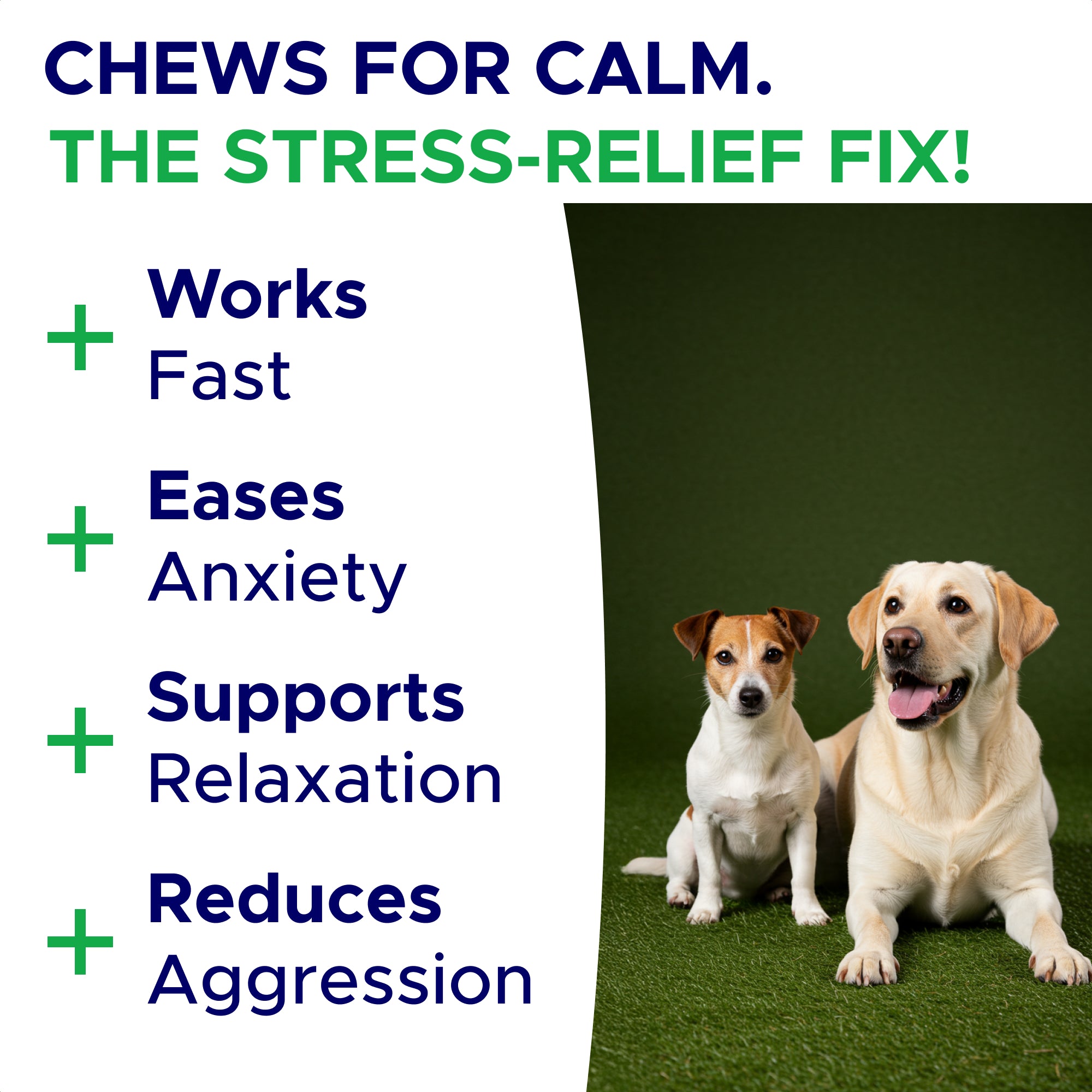 Calming Hemp Treats