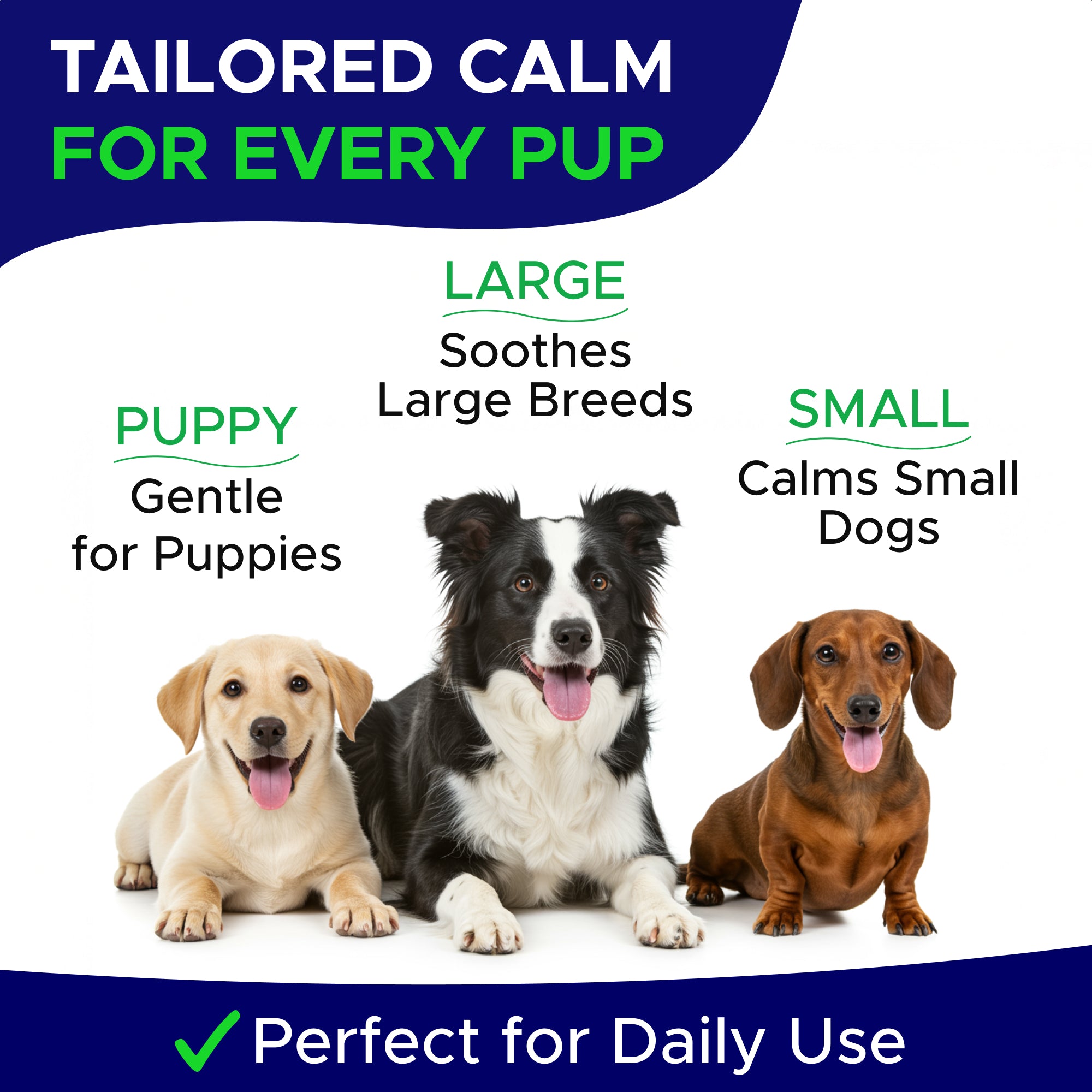 Calming Hemp Treats