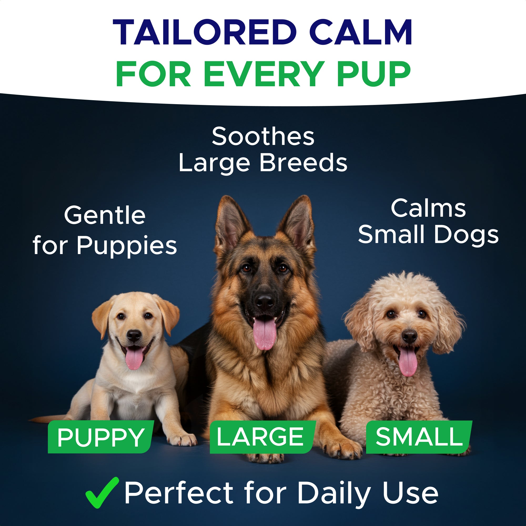 Calming Melatonin Chews