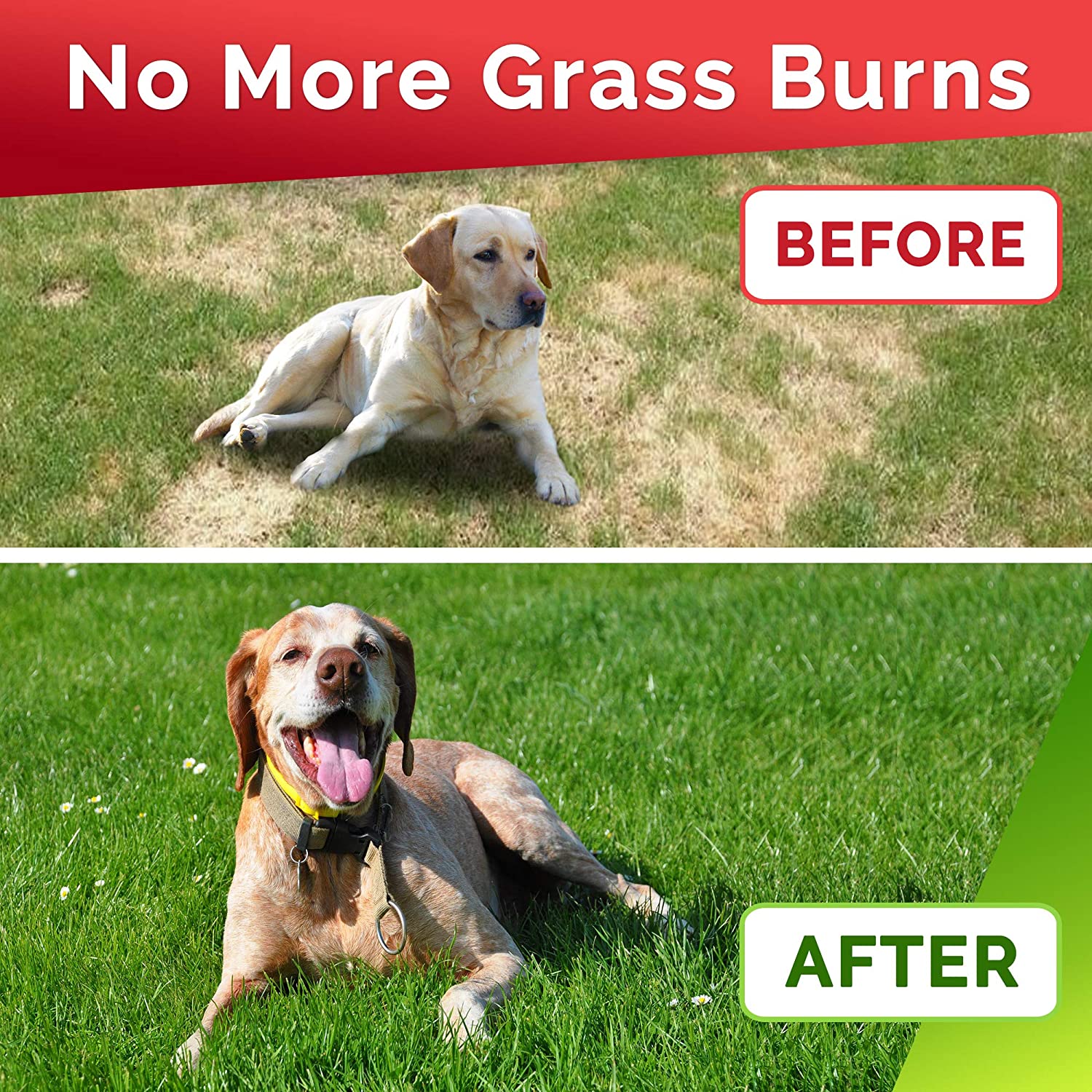 Grass Restore Treats